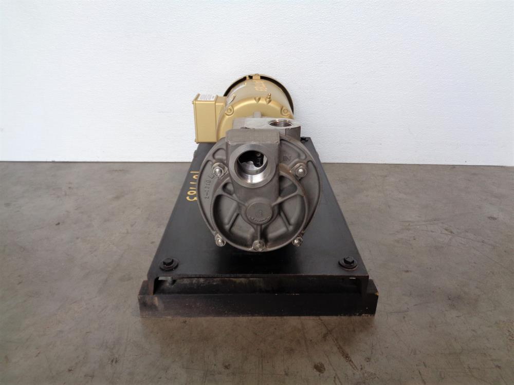 MTH T51E SS Regenerative Turbine Pump, Stainless Steel w/ 1HP Motor